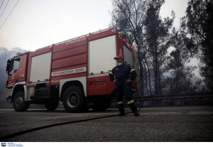 Πυροσβεστικά οχήματα και λεωφορεία πωλούνται έναντι 100 ευρώ