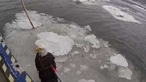 Νέα Υόρκη: Καρέ-καρέ η διάσωση τραυματισμένου αετού στον ποταμό Χάντσον