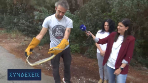 Φίδι δυο μέτρων... άραζε σε ντουζιέρα στο Πανόραμα
