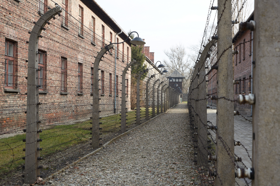 Απίστευτες αποκαλύψεις: «Μας άφηναν νηστικούς, σκίζαμε τα πτώματα και τρώγαμε τα συκώτια τους»