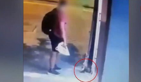 Αποκάλυψη: Διδάκτωρ στο ΑΠΘ είναι ο άντρας που έλιωσε με το πόδι του το γατάκι στη Θεσσαλονίκη (βίντεο)