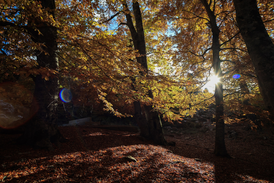 Καιρός - Κολυδάς: Μεγάλες αντιθέσεις της θερμοκρασίας το Σάββατο, από 22 έως -2°C