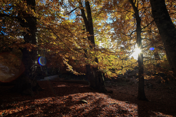 Καιρός - Κολυδάς: Μεγάλες αντιθέσεις της θερμοκρασίας το Σάββατο, από 22 έως -2°C