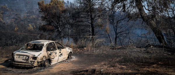 Καμένη γη στην Εύβοια: Αποκαρδιωτικές οι πρώτες εικόνες από το πέρασμα της πύρινης λαίλαπας (pics)