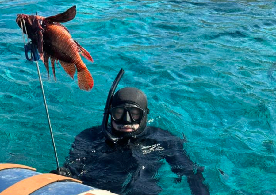 Ο Πολάκης απαντά στο ηλιοβασίλεμα του Σκέρτσου με ψαροντούφεκο και ροφό
