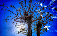 Καιρός: Αλλάζει πάλι από εβδομάδα - Νέα πρόγνωση Κολυδά