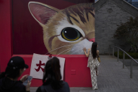 To CNN μέσα στο σκοτεινό δίκτυο που καίει, βασανίζει και σκοτώνει γάτες για το κέρδος