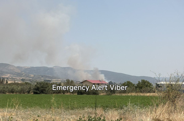 Φωτιά τώρα στην Ελάτεια Φθιώτιδας - Ήχησε το 112