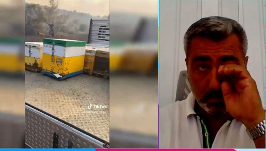 Ξέσπασε σε κλάματα ο μελισσοκόμος που είδε τις μέλισσες του να καίγονται, «είναι σαν παιδιά μας»