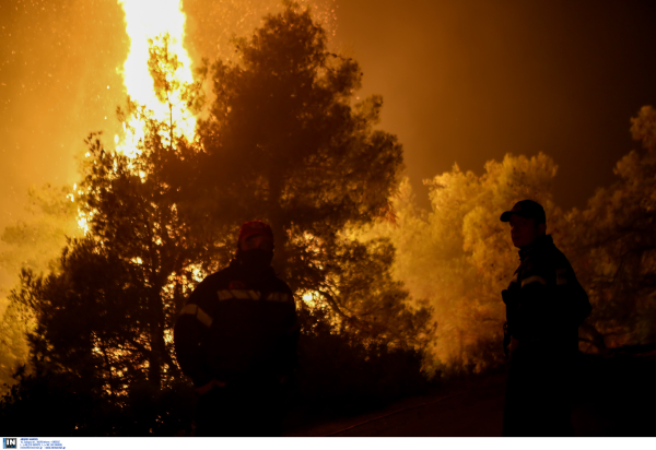 Η φωτιά στη Νεάπολη Ηλείας τέθηκε υπό μερικό έλεγχο