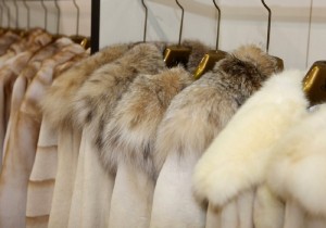 Και ο Michael Kors αποσύρει τη γούνα από τις συλλογές του
