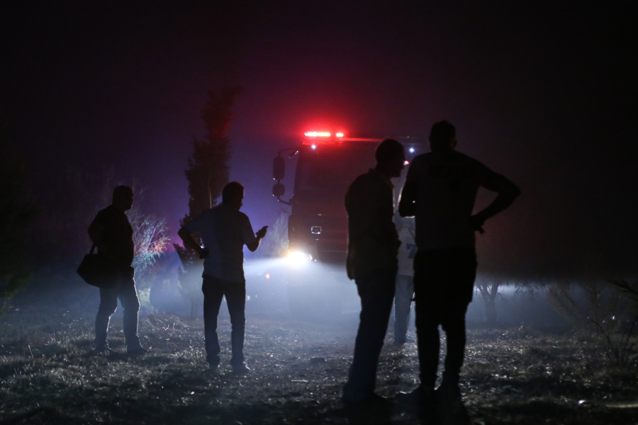 Φωτιά στο Άλσος Βεΐκου