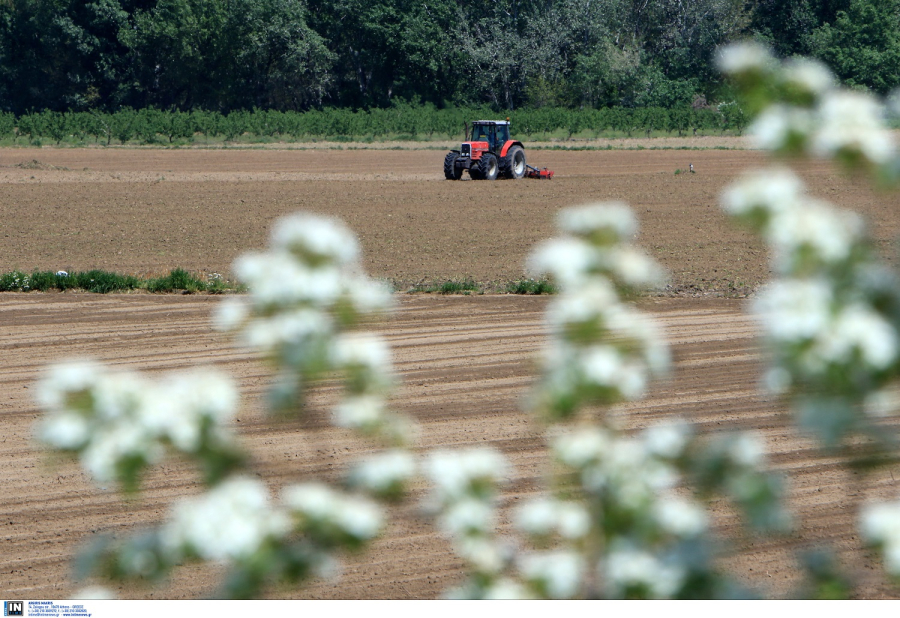 ΟΠΕΚΕΚΕ: «Sms διόρθωσης IBAN» ενόψει πληρωμών αγροτικών επιδοτήσεων ενιαίας ενίσχυσης