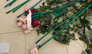 Επιχείρηση «Τα άνθη του κακού»: Κύκλωμα έκρυβε 84 κιλά κοκαΐνης μέσα σε ψεύτικα τριαντάφυλλα