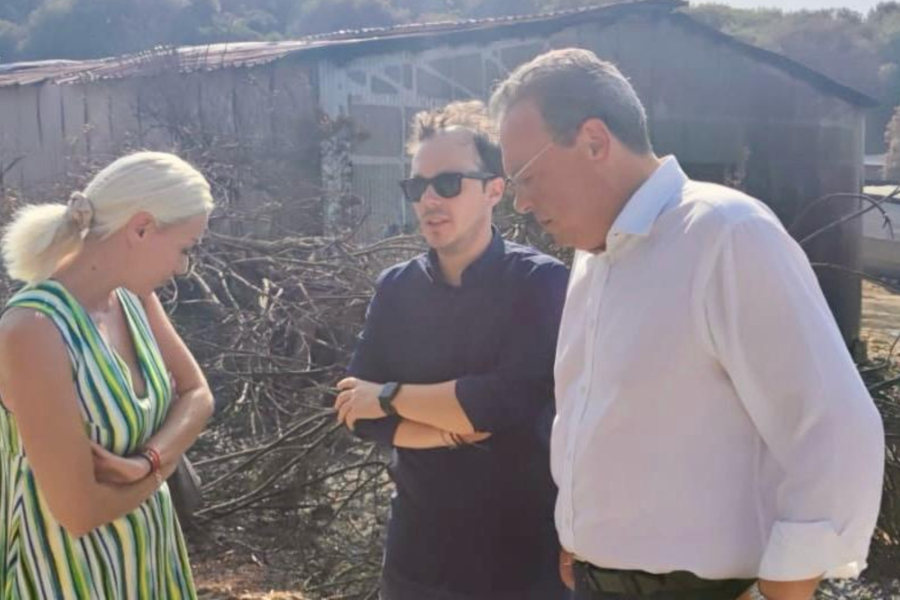 Φάμελλος: «Επείγουσα η αποζημίωση των πληγέντων από τις φωτιές χωρίς γραφειοκρατικές καθυστερήσεις»