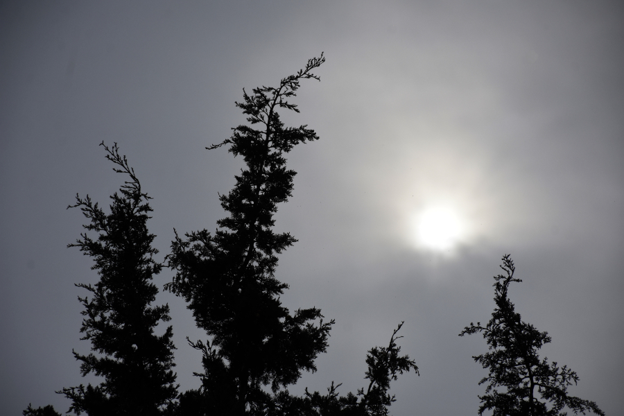 Σκόνη και σχολεία: Τα μέτρα προστασίας των μαθητών από τα επικίνδυνα νανοσωματίδια