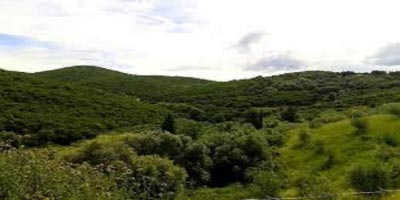 3 Προσλήψεις στο Δασαρχείο Άμφισσας