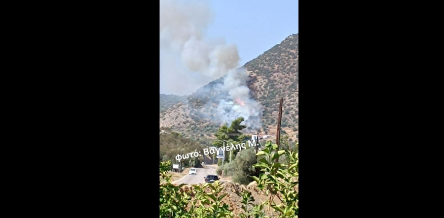 Φωτιά τώρα στην Ερμιόνη Αργολίδας