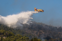 Υψηλός κίνδυνος πυρκαγιάς αύριο Κυριακή 23/8 - Ο χάρτης με τις περιοχές