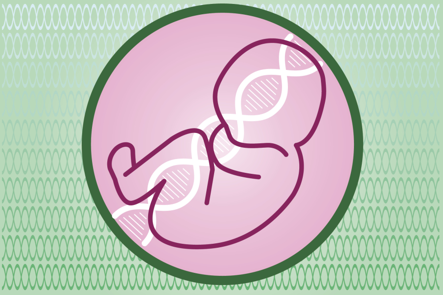 Μωρά γεννήθηκαν από DNA τριών ανθρώπων, χωρίς κληρονομικές παθήσεις