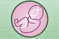 Μωρά γεννήθηκαν από DNA τριών ανθρώπων, χωρίς κληρονομικές παθήσεις