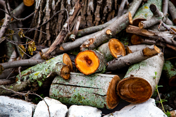 Επίδομα θέρμανσης: Πότε έρχεται η πρώτη πληρωμή - Η ημερομηνία πριν τα Χριστούγεννα