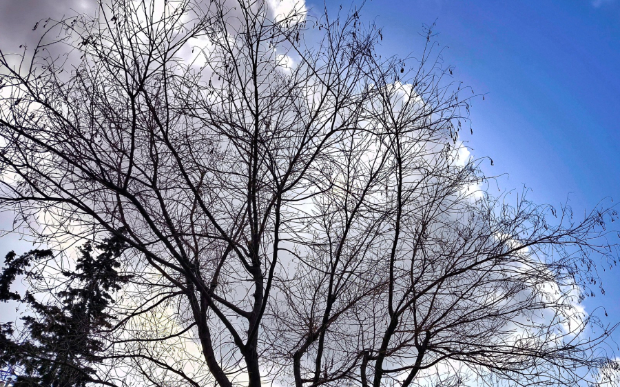 Χιόνια στην Αττική: Η απάντηση Λαγουβάρδου για την Τσικνοπέμπτη