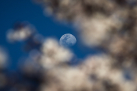 Η ζωή υπό τα τύμπανα του πολέμου