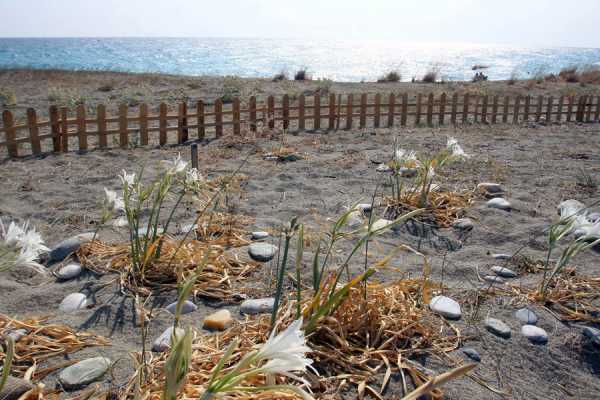 Αμείωτο το ενδιαφέρον για επενδύσεις σε ακίνητα με τουριστικό ενδιαφέρον στη Χαλκιδική