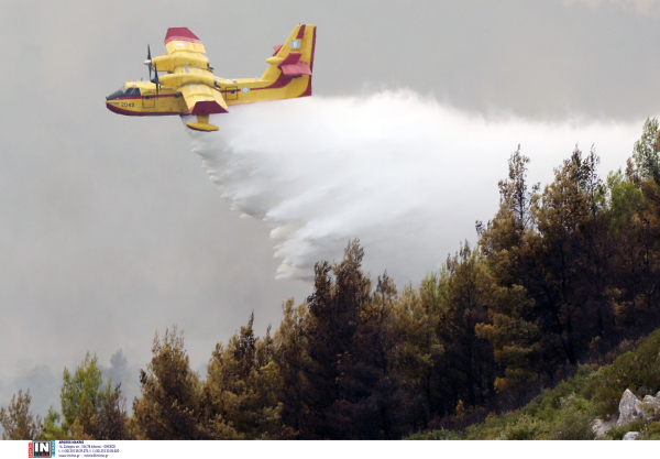 Νέα μεγάλη φωτιά στην Εύβοια, εκκενώνεται το Κοντοδεσπότι