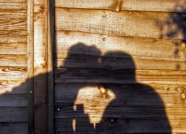 Τα ζευγάρια ανταλλάσσουν και τα βακτηρίδια τους