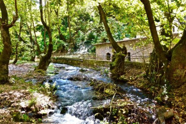 Πλανητέρο: Το πιο μαγευτικό Πλατανόδασος της Ελλάδας με τα τρεχούμενα νερά και τους νερόμυλους