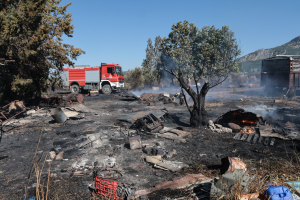 Πέντε συλλήψεις για πυρκαγιά από αμέλεια σε Αττική, Φθιώτιδα, Σέρρες και Ρόδο