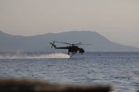 Φωτιά σε Μήλο και Καλάβρυτα - Δύο πύρινα μέτωπα στη Μαγνησία, ήχησε 112