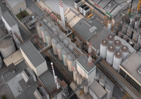 ΑΘΗΝΑΪΚΗ ΖΥΘΟΠΟΙΪΑ: Η κοινωνική ανταποδοτικότητα ως ανταποδοτική τακτική (vid)