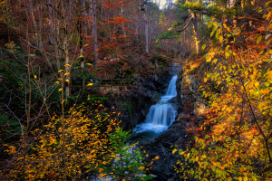 Καιρός: Απότομη αλλαγή σήμερα - Χωρίς ψύχος έως 15 Ιανουαρίου