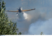 Αργολίδα: Φωτιά σε αγροτοδασική έκταση