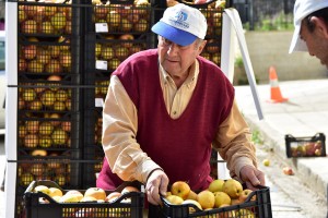 Συναγερμός για τρόφιμα με βλαβερές ουσίες στην ελληνική αγορά