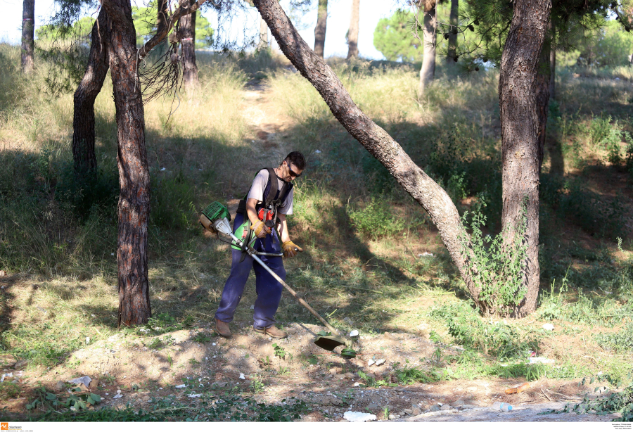 Ακαθάριστα οικόπεδα: Από την Πυροσβεστική ο έλεγχος και η επιβολή προστίμων κατόπιν καταγγελίας