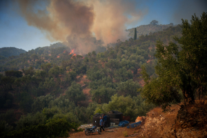 Πυροσβεστική: 37 αγροτοδασικές πυρκαγιές το τελευταίο 48ωρο