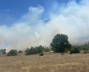 Φωτιά τώρα στη Κοζάνη, ήχησε 112