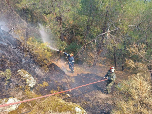Δραματική η κατάσταση στο πύρινο μέτωπο του Έβρου: Συνεχείς αναζωπυρώσεις στο Εθνικό Πάρκο της Δαδιάς