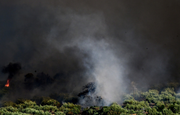 Φωτιές τώρα: Στη Βόρεια Αφρική έφτασε ο καπνός από Βοιωτία, Αττική, Αργολίδα - Δείτε χάρτη