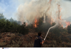 Εκτός ελέγχου η φωτιά στη Ρόδο: Σε εγρήγορση σκάφη του λιμενικού, εκκενώνουν δια θαλάσσης - Στις φλόγες ξενοδοχεία