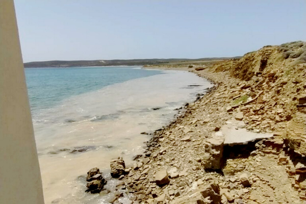 Εκτός από τη Λήμνο, εντοπίστηκε και στη Θάσο βλέννα - Δειγματοληψίες και παρακολούθηση του φαινομένου (βίντεο)