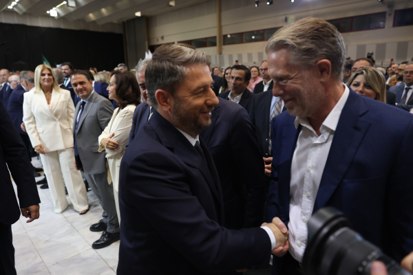 Μήνυμα Γερουλάνου σε Ανδρουλάκη: «Να λειτουργήσουν τα όργανα»