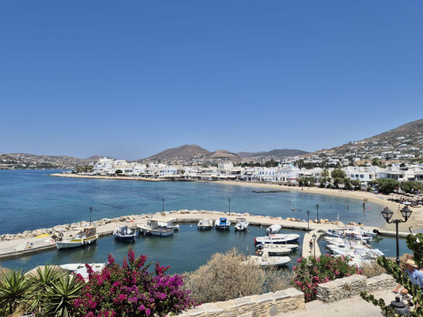 Φωτιά στην Πάρο: Στον εισαγγελέα ο δήμαρχος και οι άλλοι τρεις συλληφθέντες
