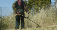 Δεν καθαρίσατε το οικόπεδό σας; Τα επόμενα βήματα για να αποφύγετε τα πρόστιμα