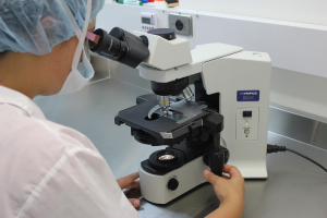 Ευλογιά των πιθήκων: Ο ΠΟΥ την εκτιμά ως «μέτριο κίνδυνο» για τη δημόσια υγεία