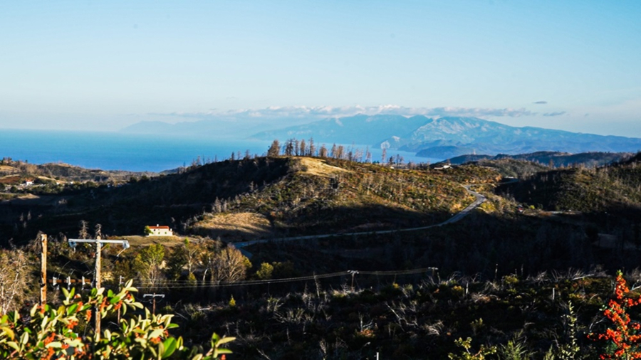 Beegin: Προσφορά smart «ζυγαριών» στους μελισσοκόμους της Β. Εύβοιας